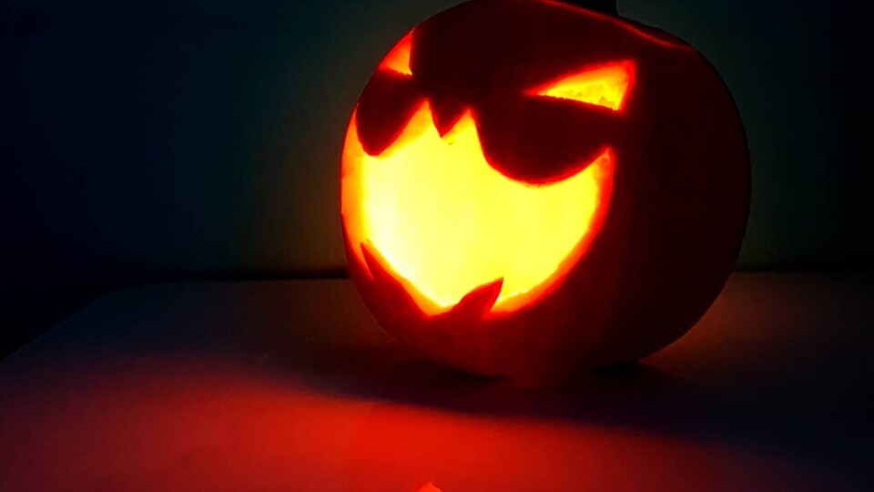 123033943_4991119990905669_2624896851326004585_o