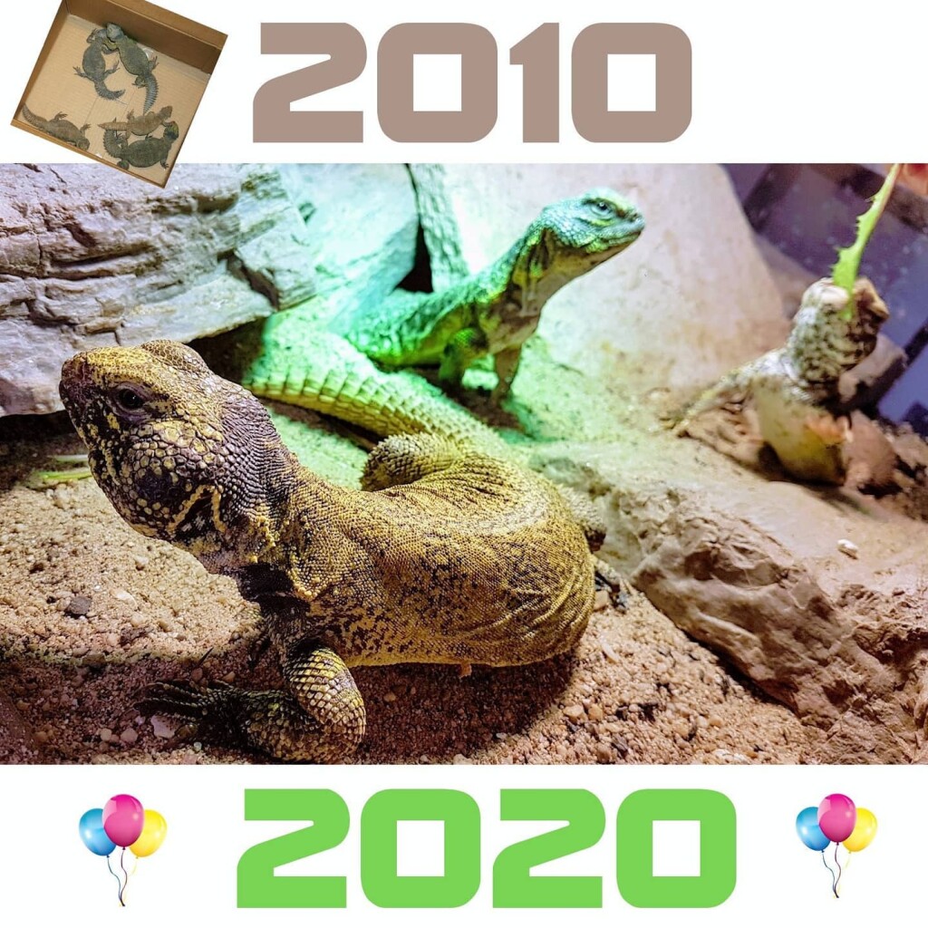 123708767_5017853208232347_5327590327940450224_o