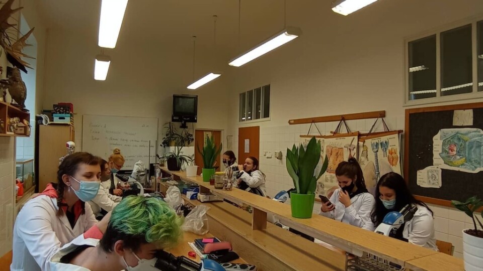 128198476_5127162063968127_9060032303666672545_o