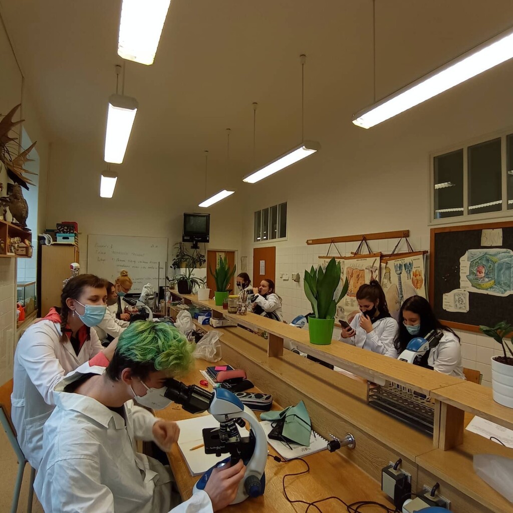 128198476_5127162063968127_9060032303666672545_o