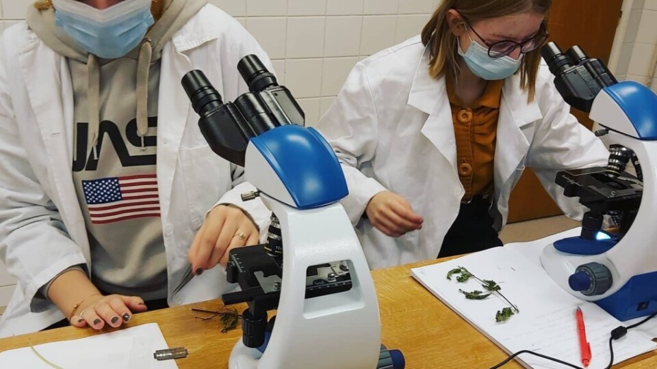 129486734_5148557245161942_2353937698011097975_o