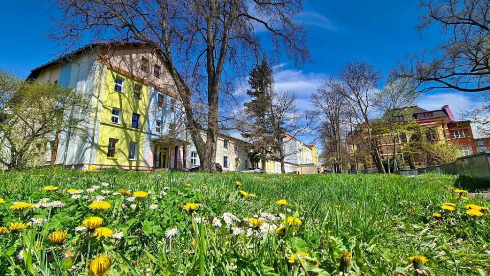 185675442_5895513337132992_5851410126391453779_n