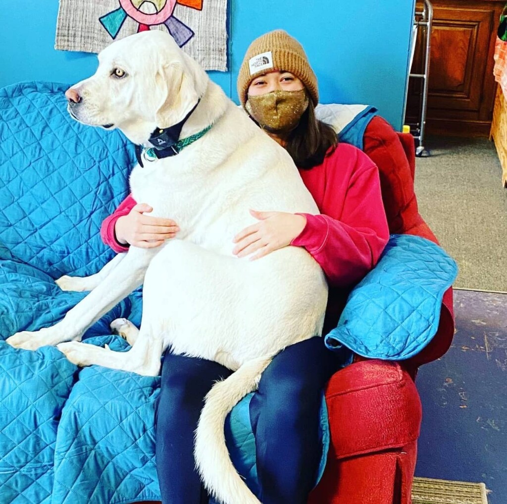 166985741_5709236592427335_6312858482507693248_n