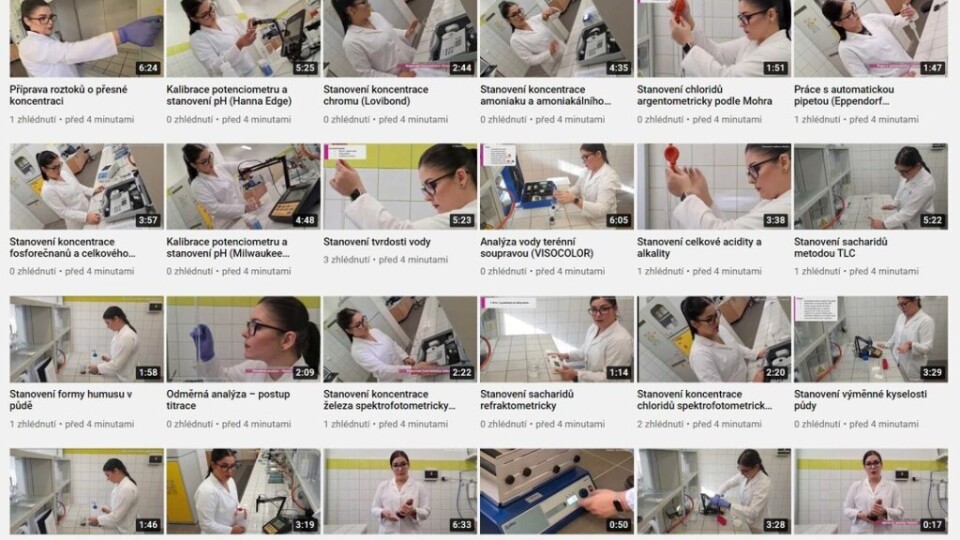 172224323_5729524340398560_6004300350049760235_n