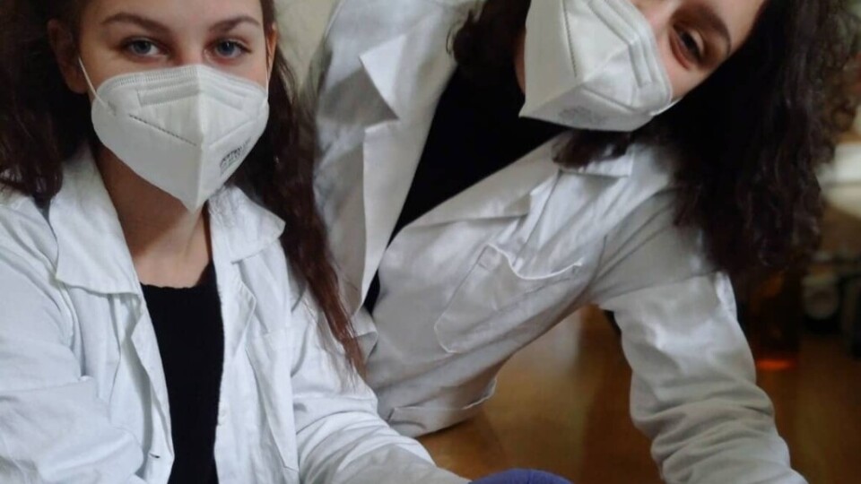 181931556_5842394485778211_7424450593260476252_n