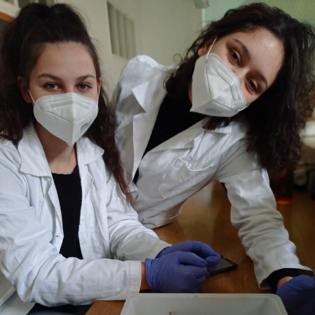 181931556_5842394485778211_7424450593260476252_n