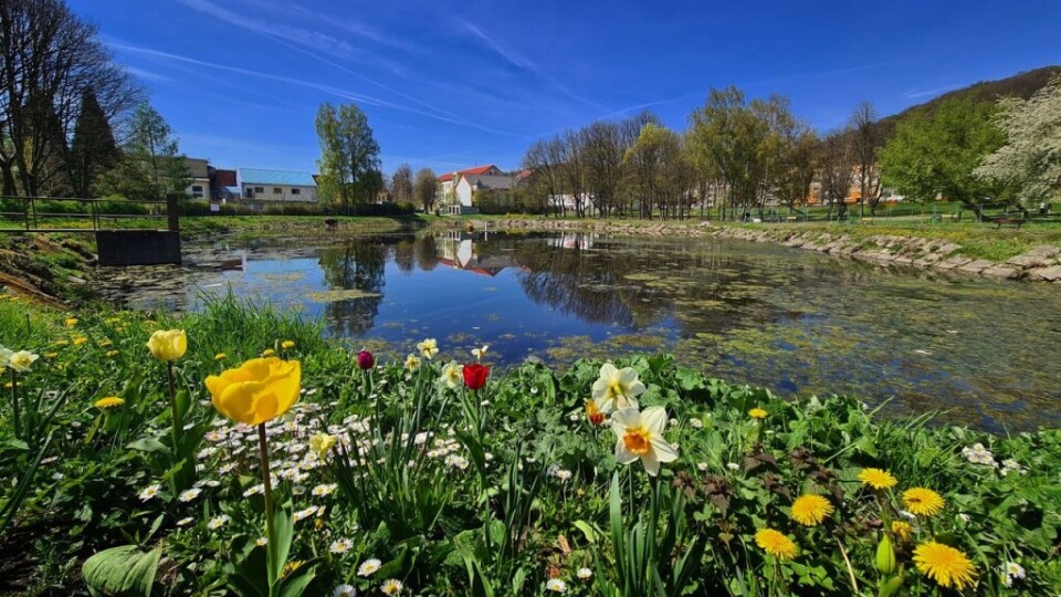 185707979_5895404240477235_6665297862130735004_n