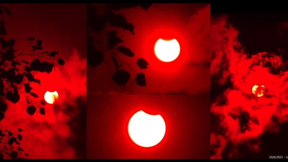 197842667_6039139966103661_7844199177156592297_n (1)