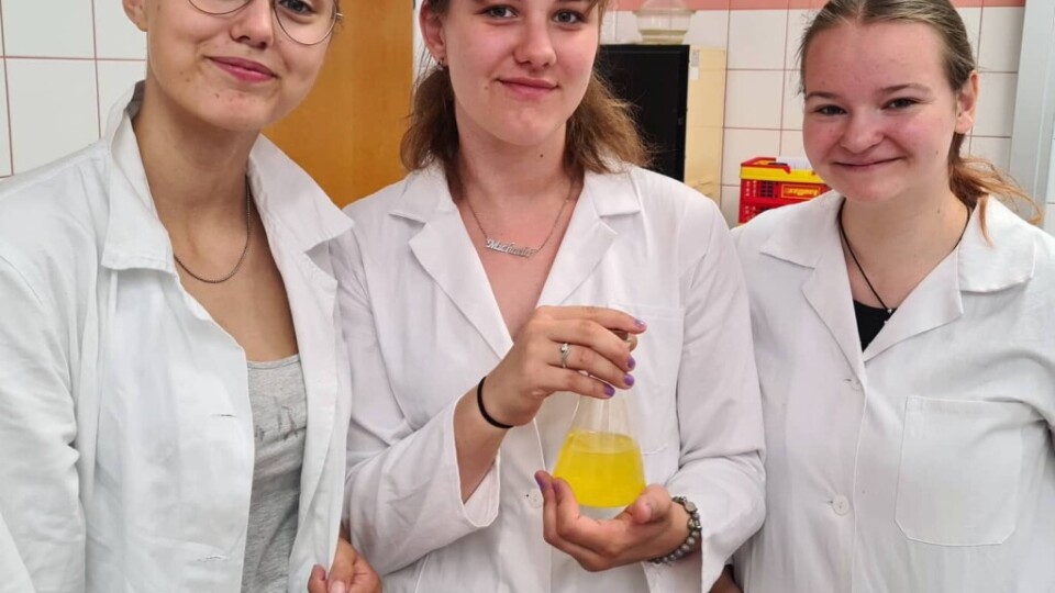 199205419_6084987128185611_8652991547777270087_n