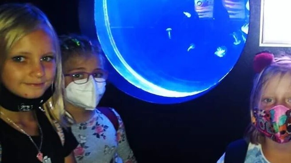 240811802_6430329733651347_5492265545303911069_n