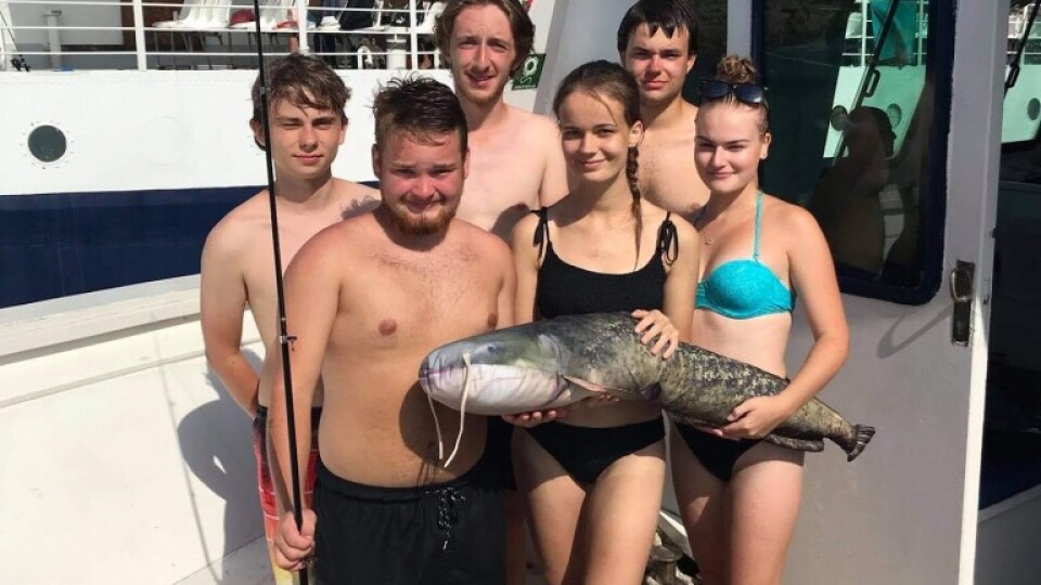 received_1485112848526391