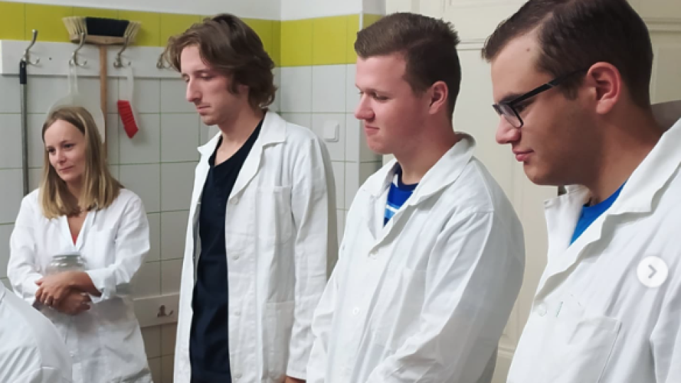 2022-07-11 18_16_11-Schola Humanitas (@shumanitas) • Fotky a videa na Instagramu – Osobní – Microsof