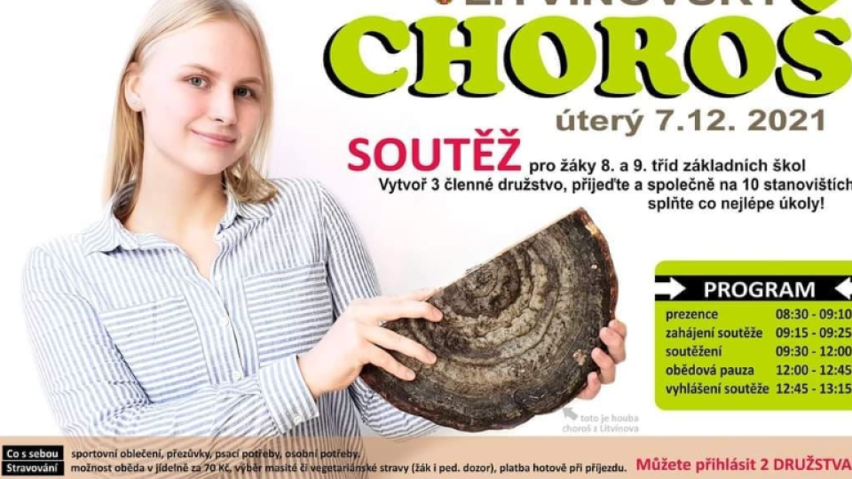 2022-07-12 11_28_14-Schola Humanitas (@shumanitas) • Fotky a videa na Instagramu – Osobní – Microsof