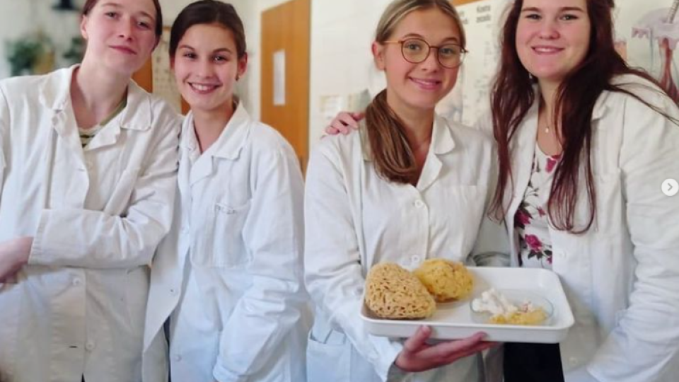 2022-07-12 11_29_09-Schola Humanitas (@shumanitas) • Fotky a videa na Instagramu – Osobní – Microsof