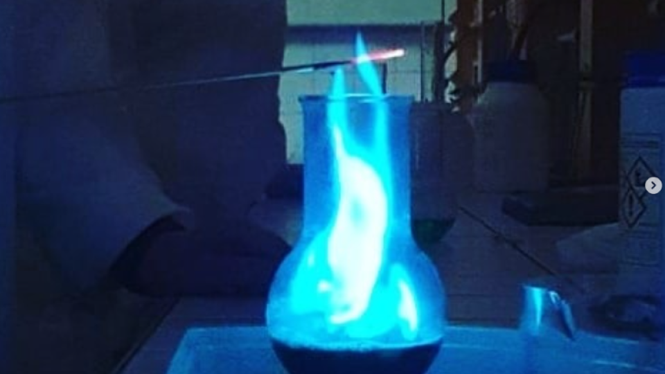 2022-07-12 11_30_21-Schola Humanitas (@shumanitas) • Fotky a videa na Instagramu – Osobní – Microsof