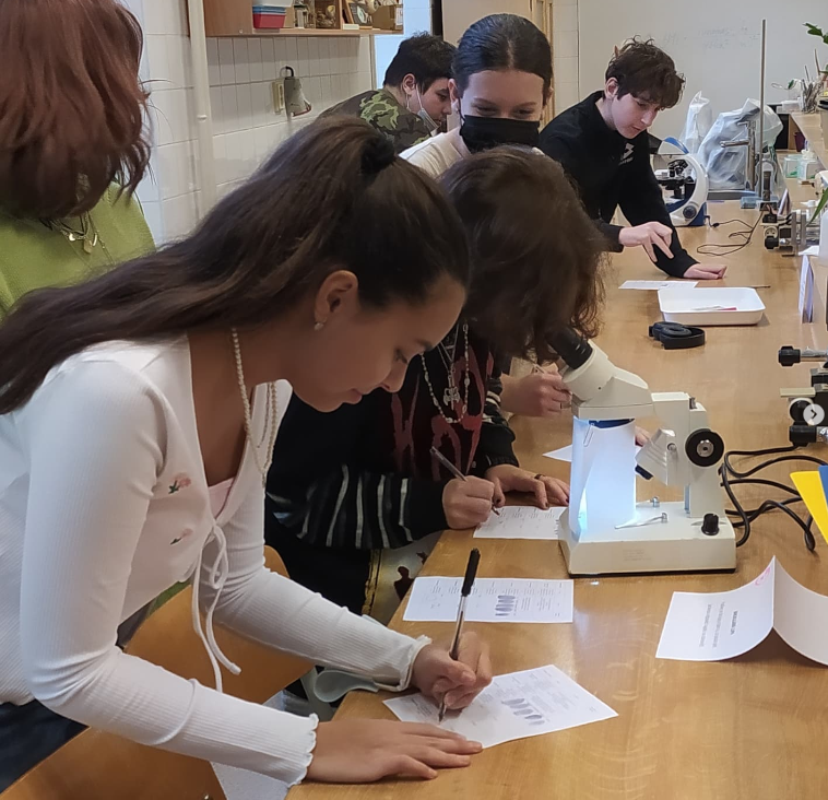 2022-07-12 11_32_19-Schola Humanitas (@shumanitas) • Fotky a videa na Instagramu – Osobní – Microsof