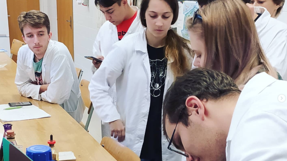 2022-07-12 18_35_44-Schola Humanitas (@shumanitas) • Fotky a videa na Instagramu a 5 dalších stránek