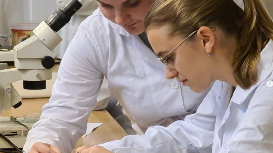 2022-07-12 18_36_44-Schola Humanitas (@shumanitas) • Fotky a videa na Instagramu a 5 dalších stránek