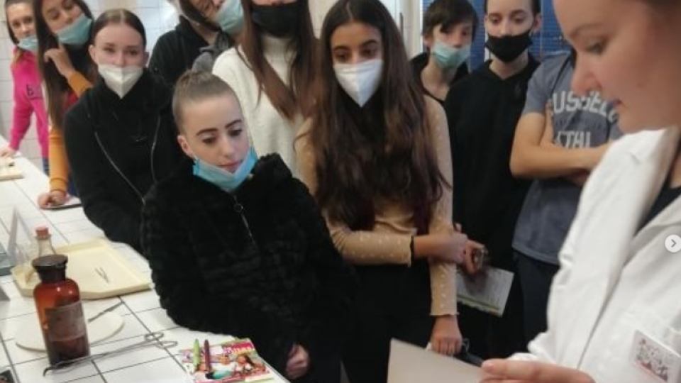 2022-07-12 18_36_51-Schola Humanitas (@shumanitas) • Fotky a videa na Instagramu a 5 dalších stránek