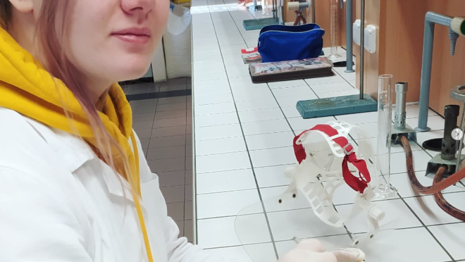 2022-07-12 18_37_18-Schola Humanitas (@shumanitas) • Fotky a videa na Instagramu a 5 dalších stránek