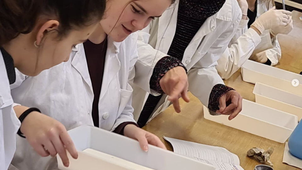 2022-07-12 18_39_10-Schola Humanitas (@shumanitas) • Fotky a videa na Instagramu a 5 dalších stránek