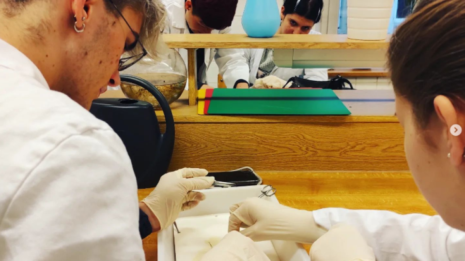 2022-07-12 19_52_57-Schola Humanitas (@shumanitas) • Fotky a videa na Instagramu a 5 dalších stránek