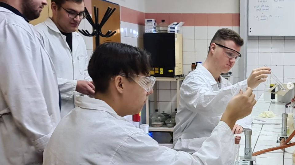 2022-07-12 19_55_04-Schola Humanitas (@shumanitas) • Fotky a videa na Instagramu a 5 dalších stránek