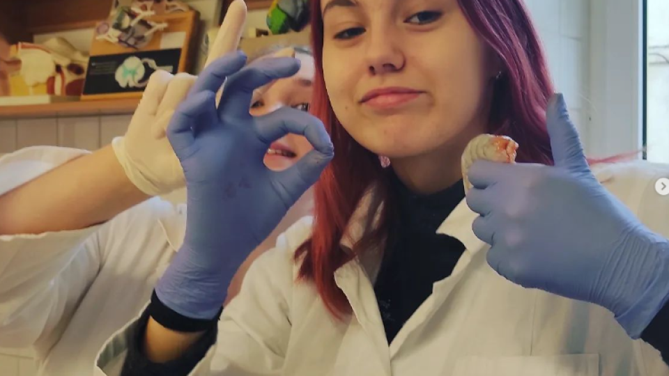 2022-07-12 19_58_28-Schola Humanitas (@shumanitas) • Fotky a videa na Instagramu a 5 dalších stránek