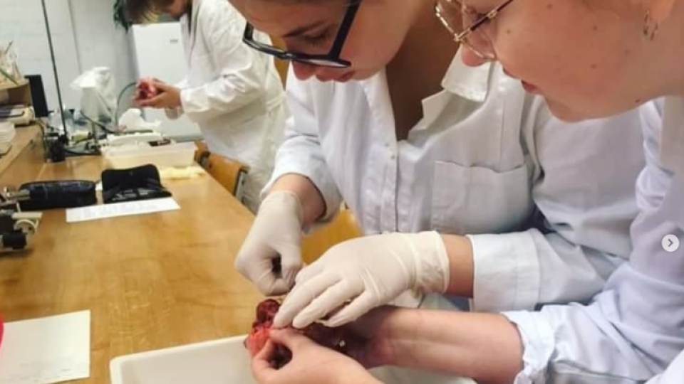 2022-07-12 20_04_43-Schola Humanitas (@shumanitas) • Fotky a videa na Instagramu a 5 dalších stránek