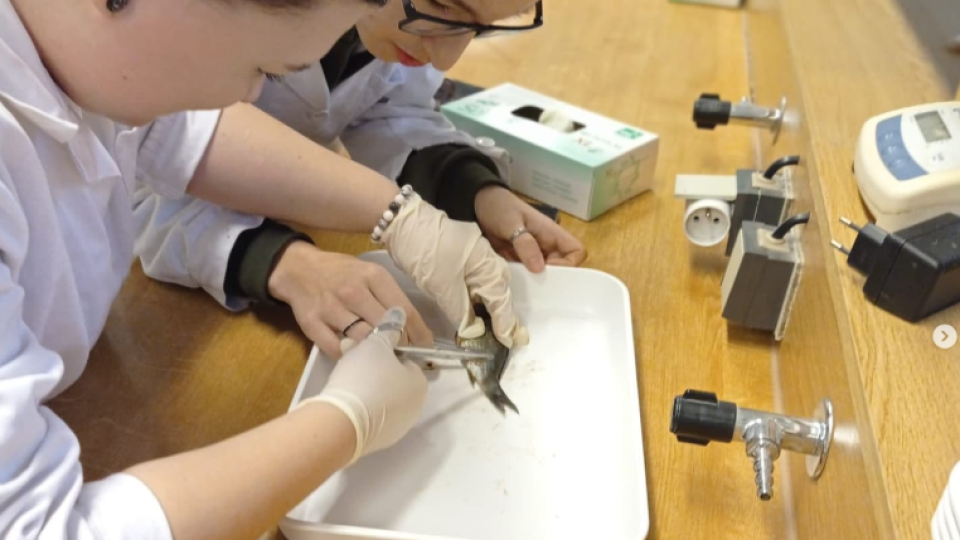 2022-07-12 20_04_55-Schola Humanitas (@shumanitas) • Fotky a videa na Instagramu a 5 dalších stránek