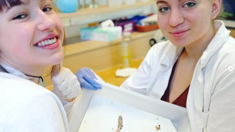 2022-07-12 21_05_07-Schola Humanitas (@shumanitas) • Fotky a videa na Instagramu a 5 dalších stránek