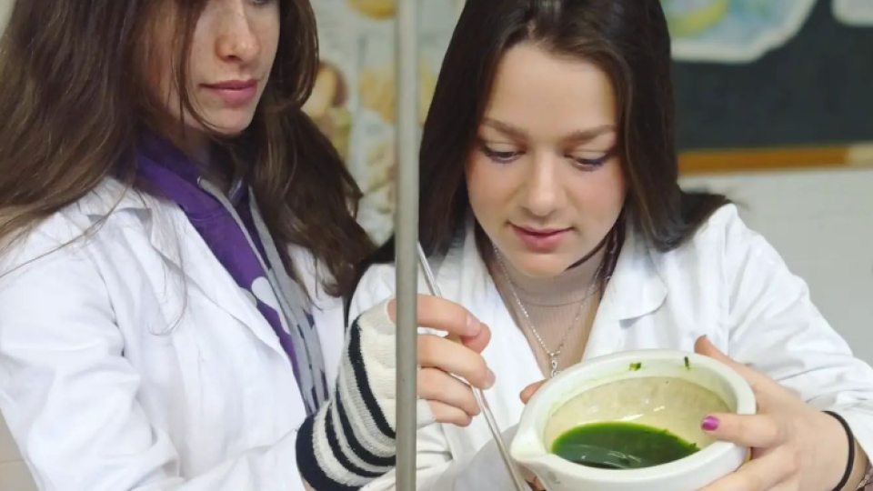 2022-07-12 21_05_15-Schola Humanitas (@shumanitas) • Fotky a videa na Instagramu a 5 dalších stránek