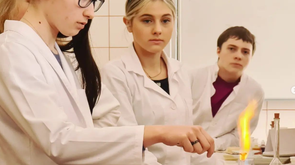 2022-07-12 21_05_26-Schola Humanitas (@shumanitas) • Fotky a videa na Instagramu a 5 dalších stránek