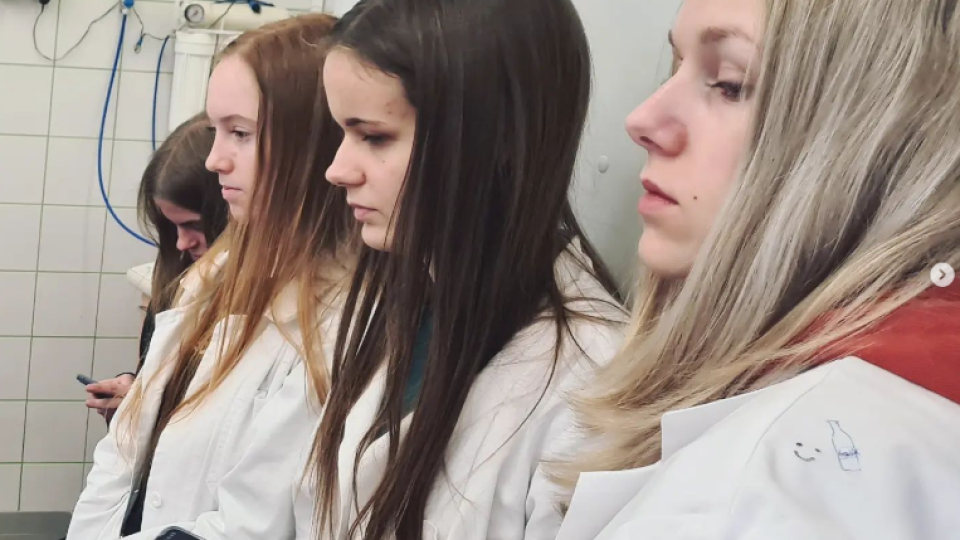 2022-07-12 21_05_57-Schola Humanitas (@shumanitas) • Fotky a videa na Instagramu a 5 dalších stránek