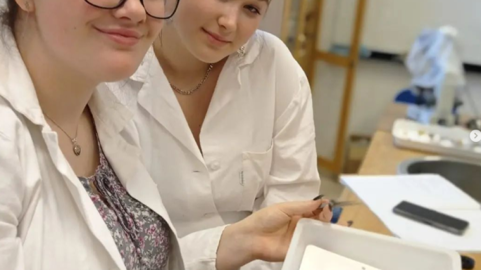 2022-07-12 21_06_28-Schola Humanitas (@shumanitas) • Fotky a videa na Instagramu a 5 dalších stránek