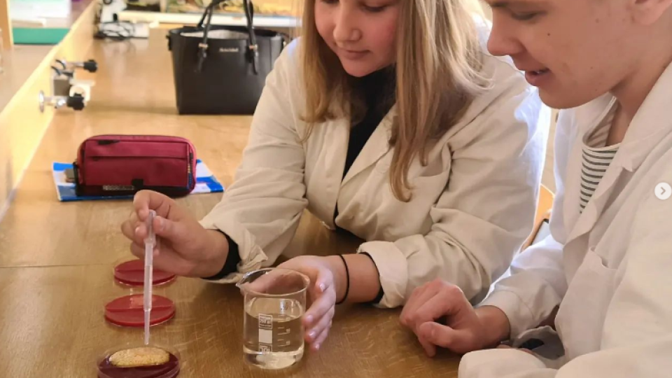 2022-07-12 21_06_35-Schola Humanitas (@shumanitas) • Fotky a videa na Instagramu a 5 dalších stránek