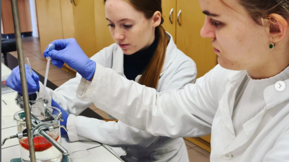 2022-07-13 09_06_47-Schola Humanitas (@shumanitas) • Fotky a videa na Instagramu a 13 dalších stráne