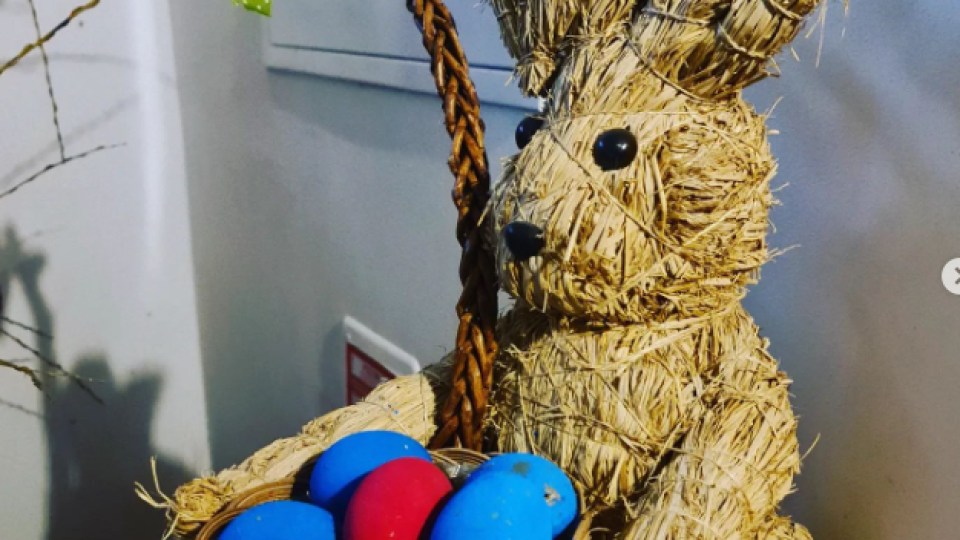 2022-07-13 09_09_28-Schola Humanitas (@shumanitas) • Fotky a videa na Instagramu a 13 dalších stráne