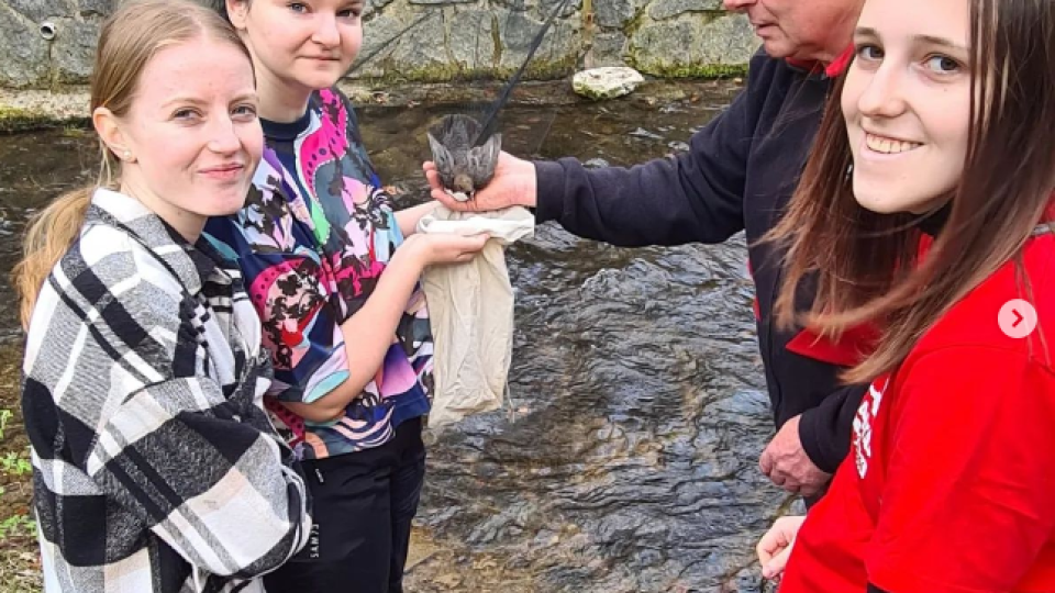 2022-07-13 09_37_33-Schola Humanitas (@shumanitas) • Fotky a videa na Instagramu a 13 dalších stráne