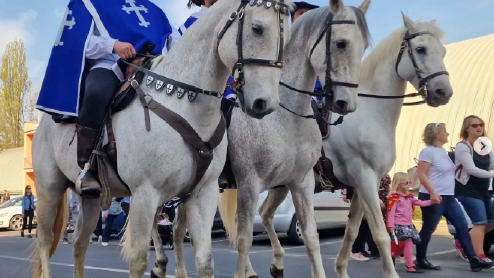 2022-07-13 09_40_04-Schola Humanitas (@shumanitas) • Fotky a videa na Instagramu a 13 dalších stráne