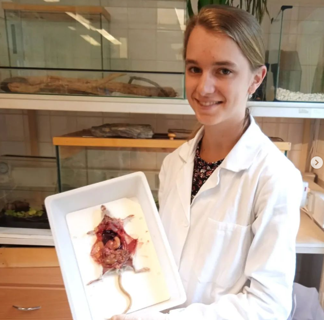 2022-07-13 10_27_03-Schola Humanitas (@shumanitas) • Fotky a videa na Instagramu a 14 dalších stráne