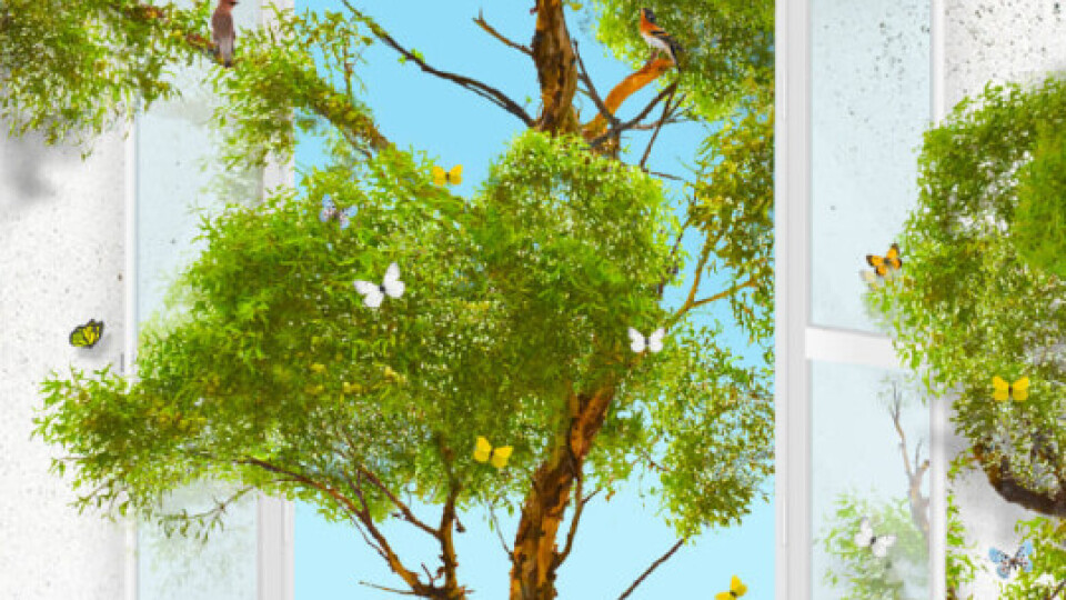 415981524_778243300987577_7547284068086734683_n